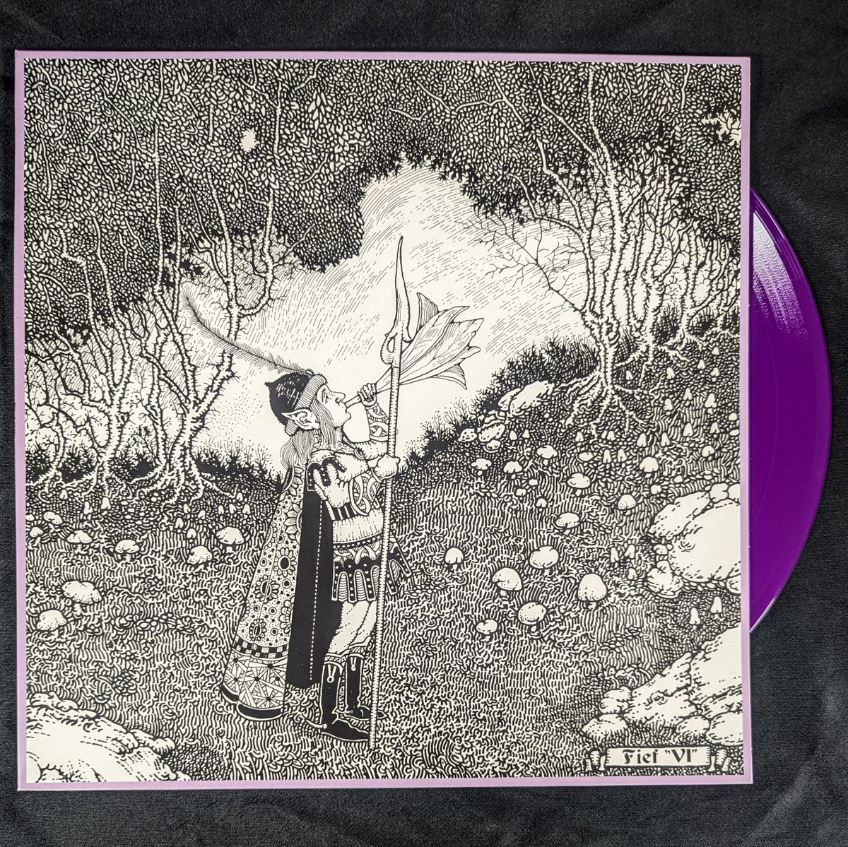 FIEF - VI LP