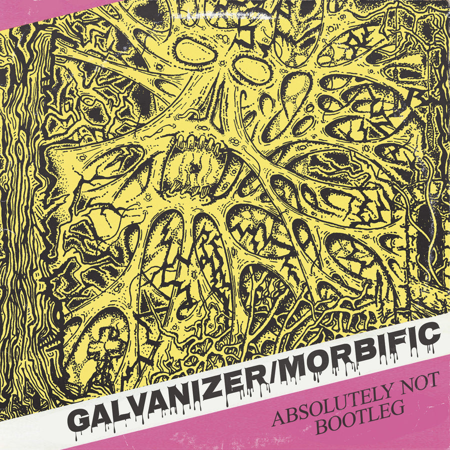 GALVANIZER/ MORBIFIC SPLIT CD
