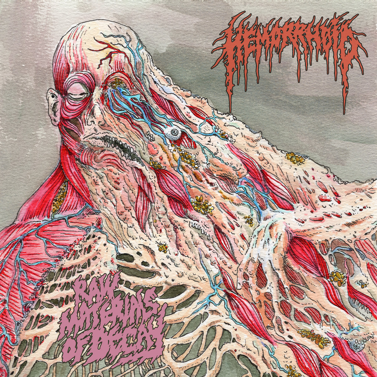 HEMORRHOID - RAW MATERIALS OF DECAY LP