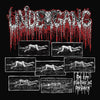 UNDERGANG - DE SYV STADIER AF FORDAERV LP