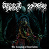 TERMINAL NATION / KRUELTY -  THE RUINATION OF IMPERIALISM LP