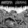 ANATOMIA / UNDERGANG - SPLIT CD