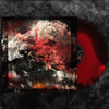 RUIN LUST - DISSIMULANT LP ***PRE-ORDER***
