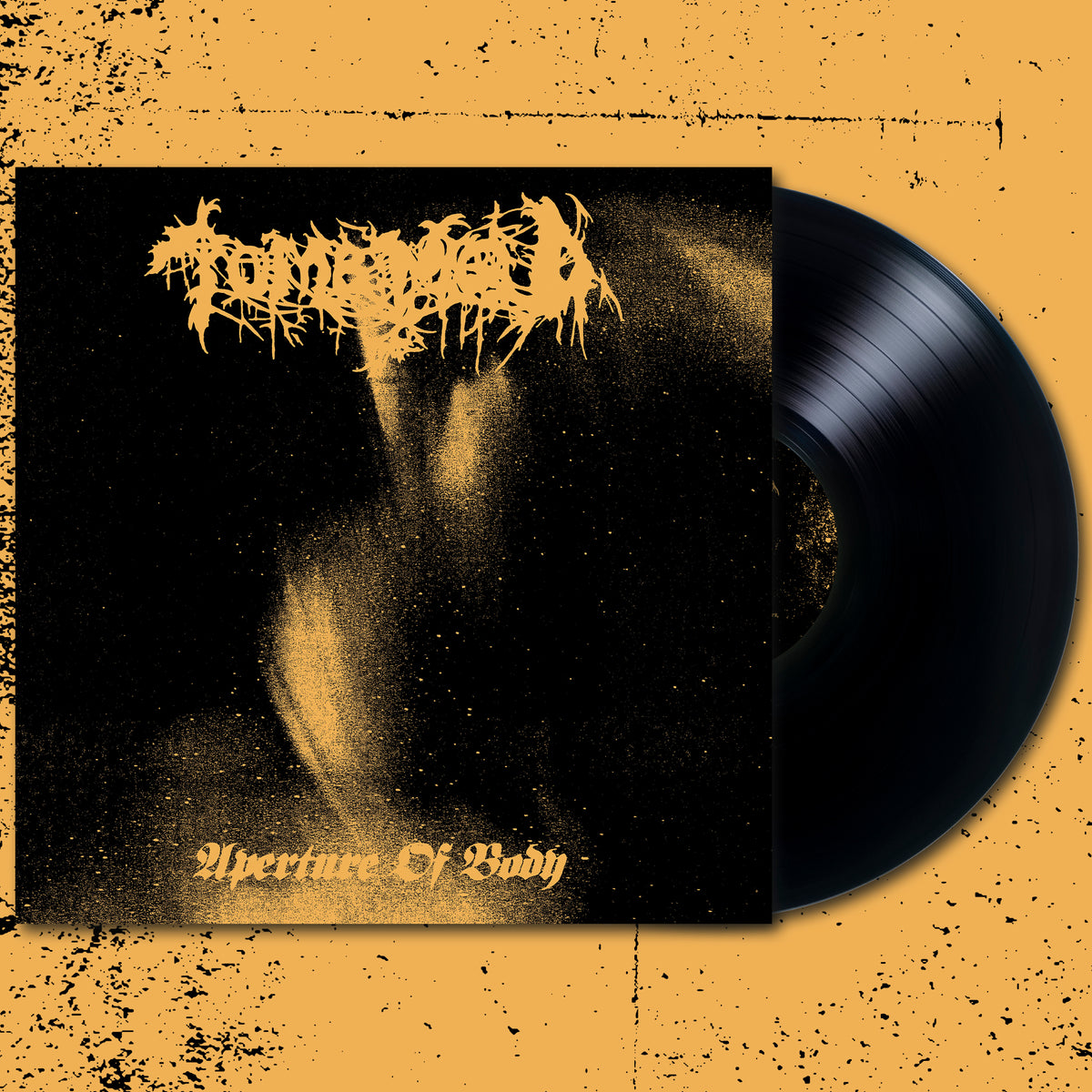 TOMB MOLD - APERTURE OF BODY 12" EP